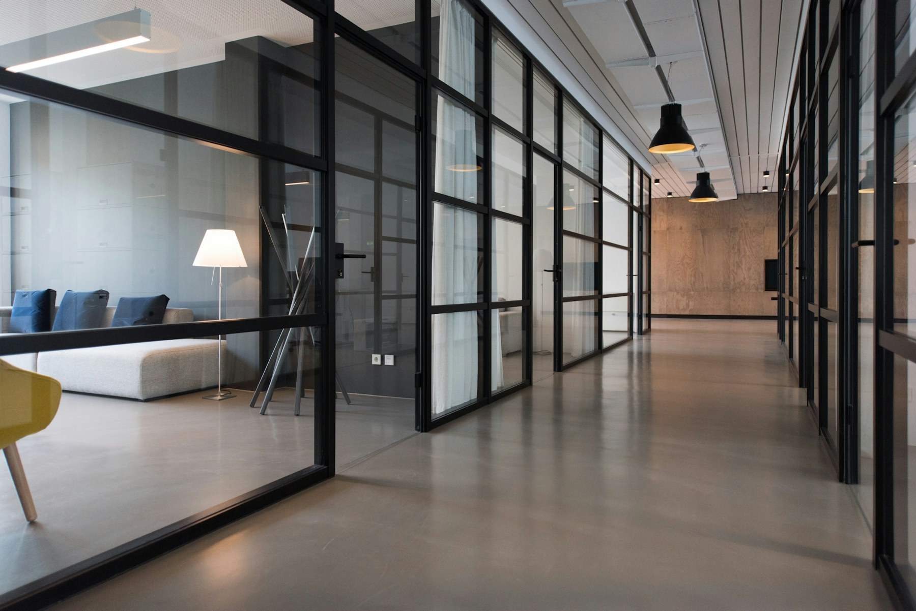 A calm shared workspace with daylight and plants